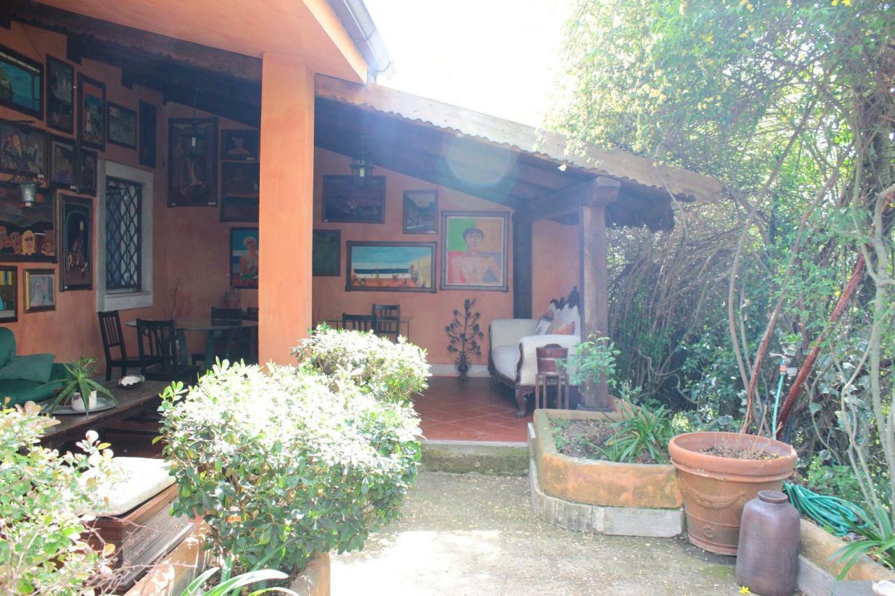 B&B Country Lemon Santa Marta Extérieur photo
